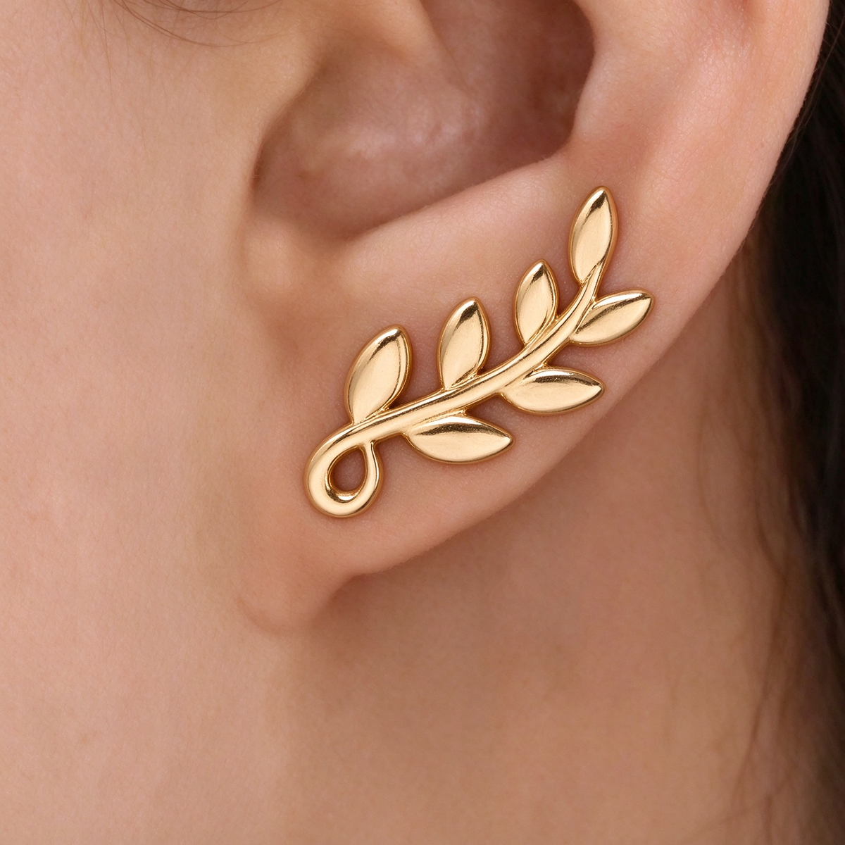 Tiffany & Co. Paloma Picasso Olive Leaf earrings in yellow gold—leaf-shaped stud earrings inspired by nature—women's fine jewelry.