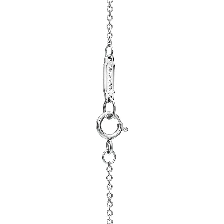 Tiffany Schlumberger Sixteen Stone necklace in platinum—round pendant