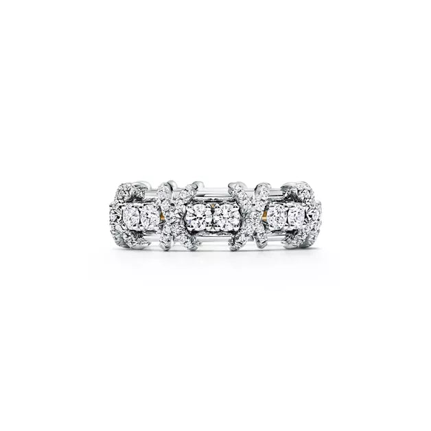 Tiffany Schlumberger Sixteen Stone Ring — Platinum Eternity Ring